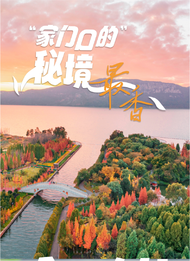 家门口的秘境最香海报