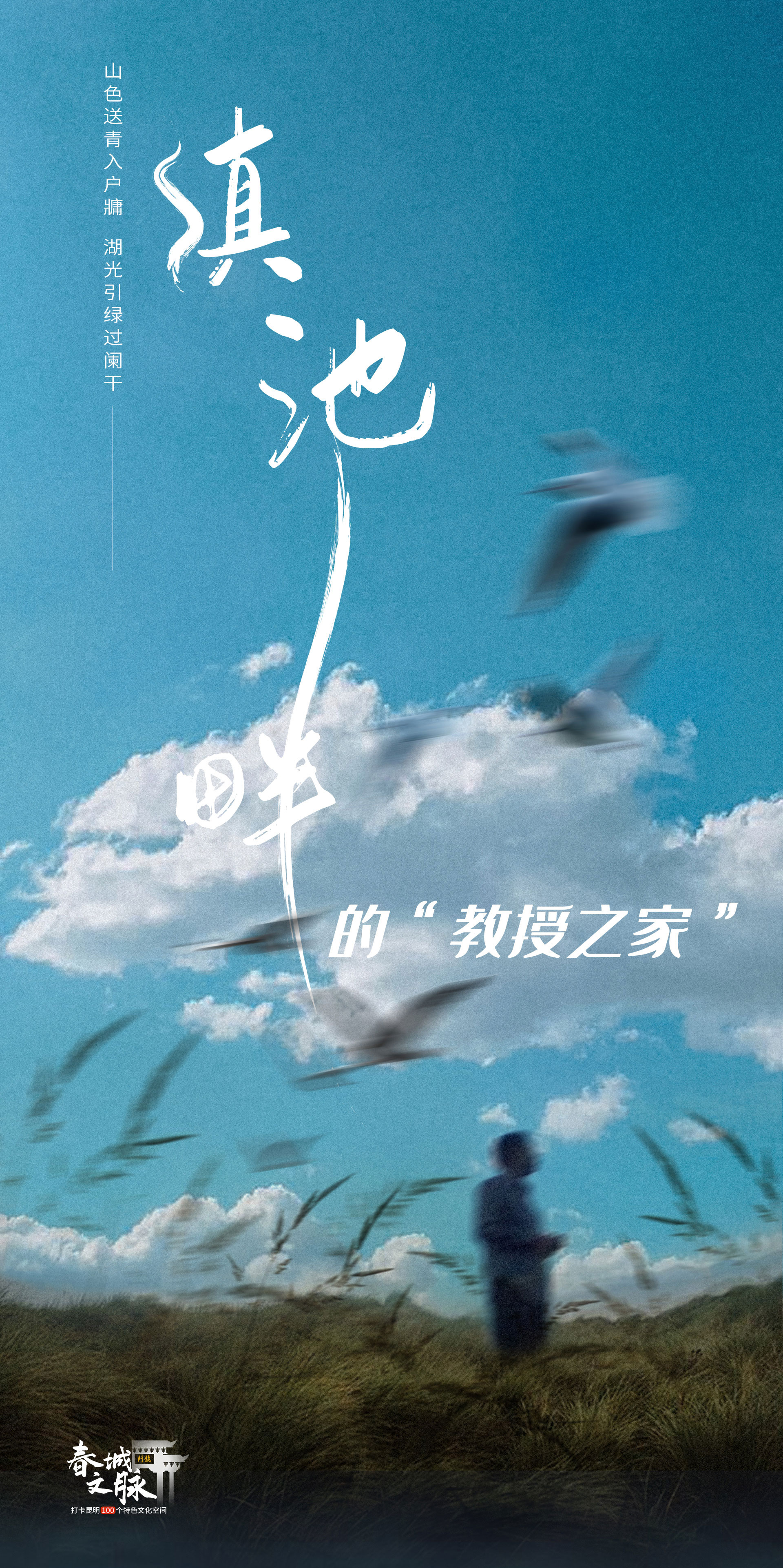 滇池田埂教授之家海报
