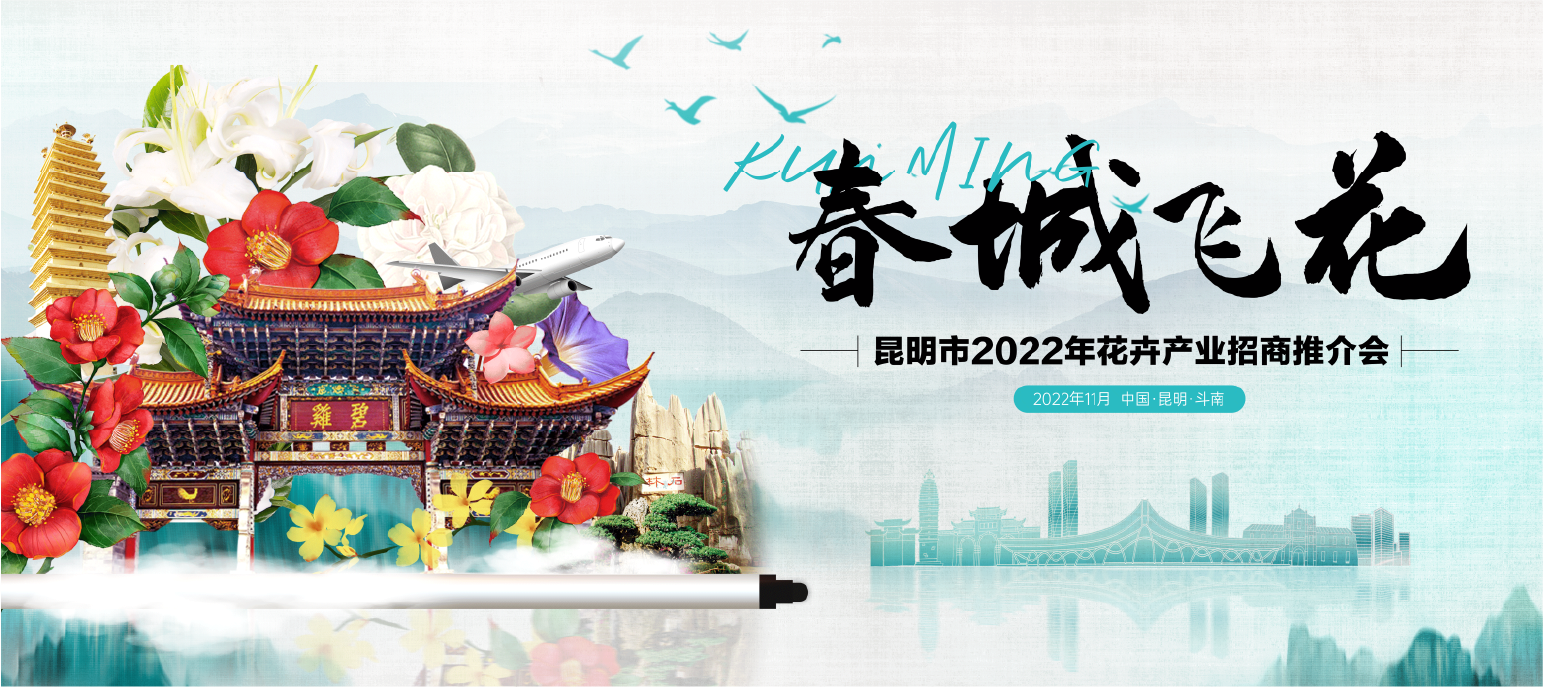 春城飞花视觉